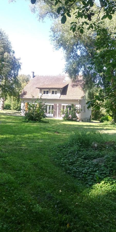 Villa - Coulommiers - Parcs Des Felins - Provins Beautheil-Saints Exterior photo