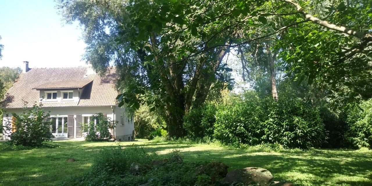 Villa - Coulommiers - Parcs Des Felins - Provins Beautheil-Saints Exterior photo