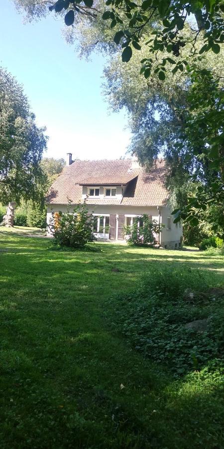Villa - Coulommiers - Parcs Des Felins - Provins Beautheil-Saints Exterior photo