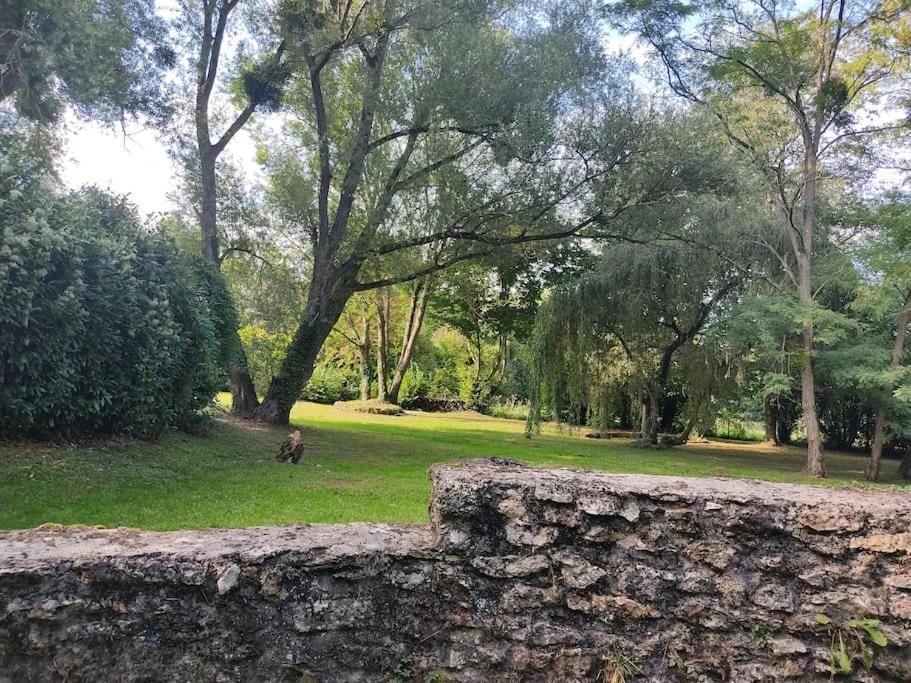 Villa - Coulommiers - Parcs Des Felins - Provins Beautheil-Saints Exterior photo